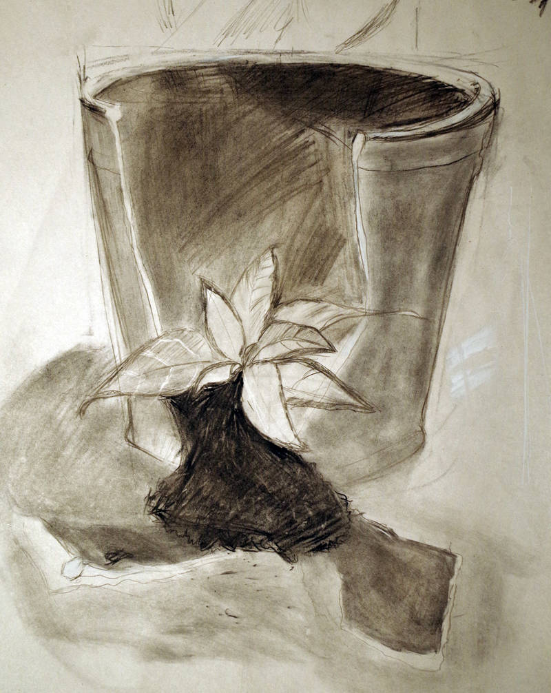 pencil still life